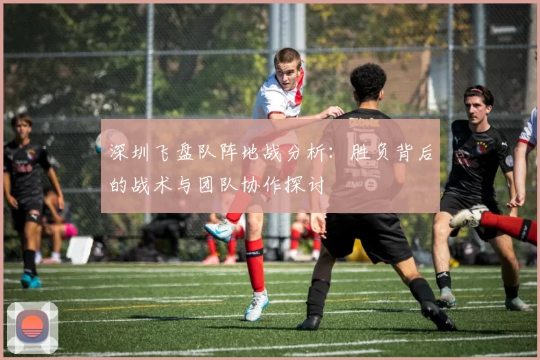 深圳飞盘队阵地战分析：胜负背后的战术与团队协作探讨
