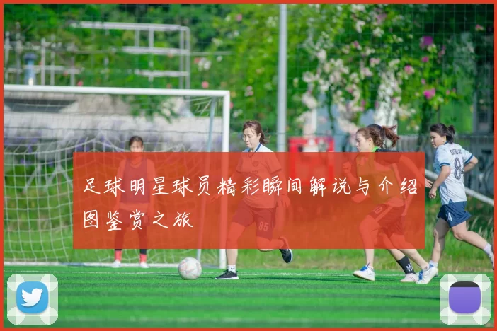 足球明星球员精彩瞬间解说与介绍图鉴赏之旅
