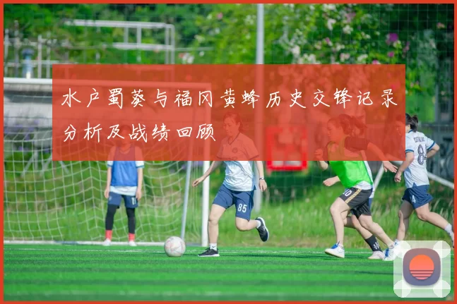 水户蜀葵与福冈黄蜂历史交锋记录分析及战绩回顾