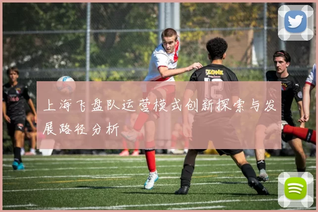 上海飞盘队运营模式创新探索与发展路径分析
