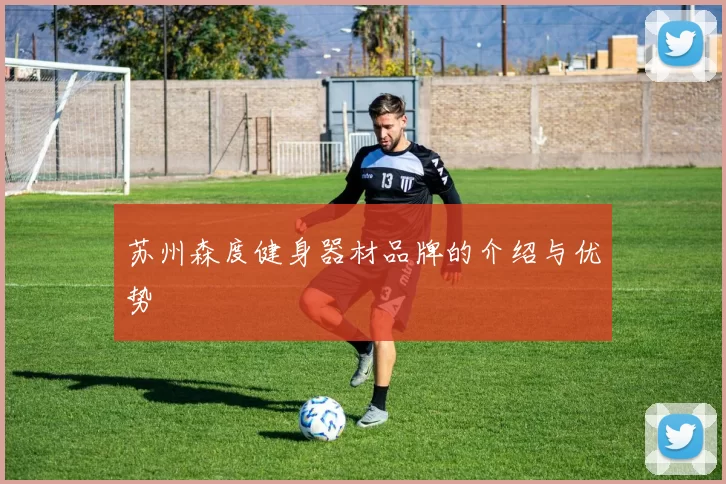 苏州森度健身器材品牌的介绍与优势