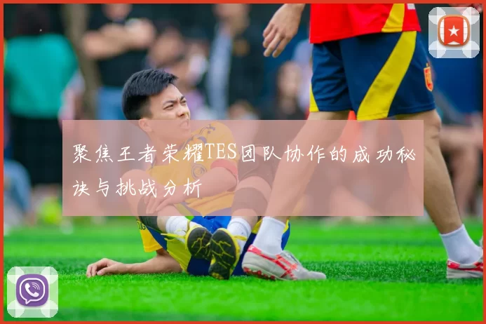聚焦王者荣耀TES团队协作的成功秘诀与挑战分析