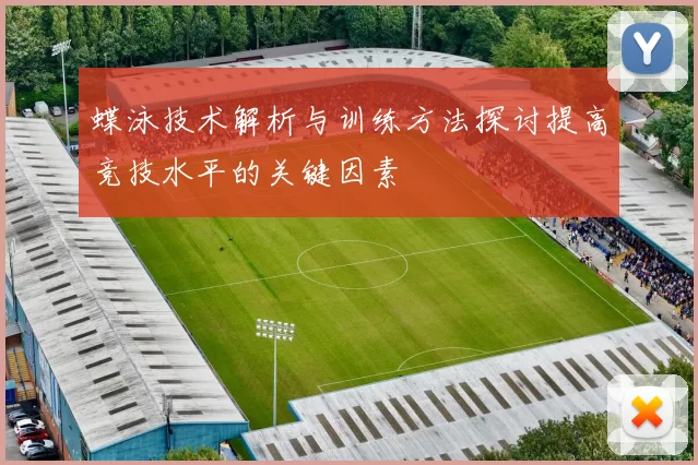 蝶泳技术解析与训练方法探讨提高竞技水平的关键因素