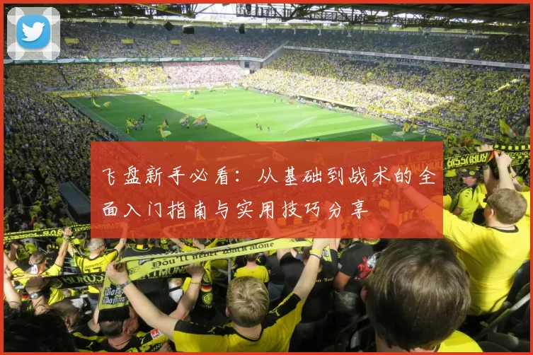 飞盘新手必看：从基础到战术的全面入门指南与实用技巧分享