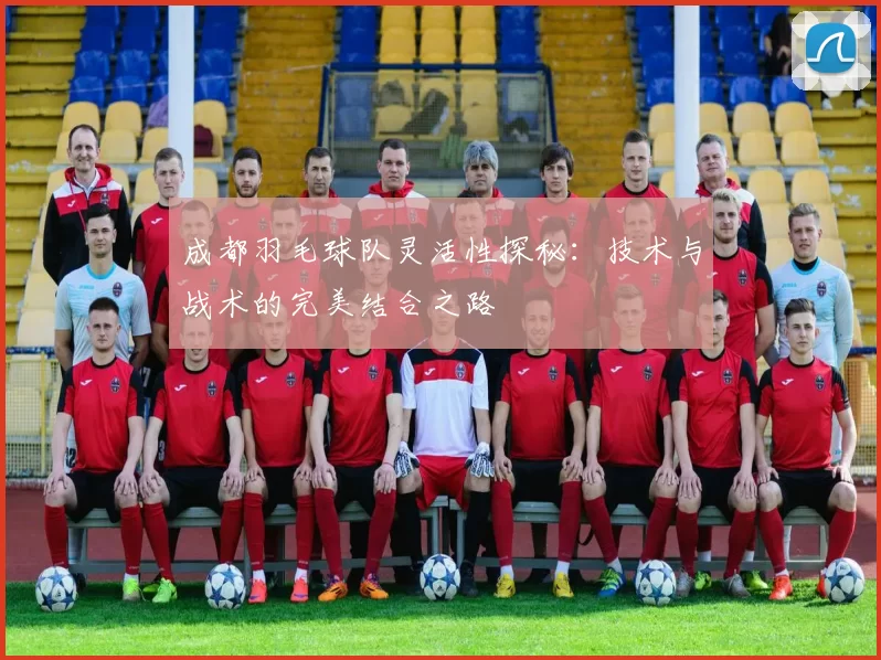 成都羽毛球队灵活性探秘：技术与战术的完美结合之路
