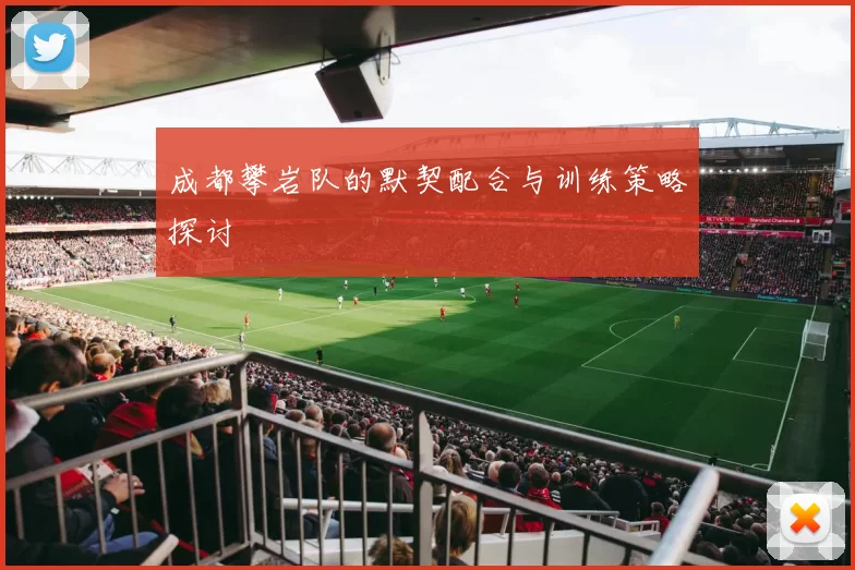 成都攀岩队的默契配合与训练策略探讨