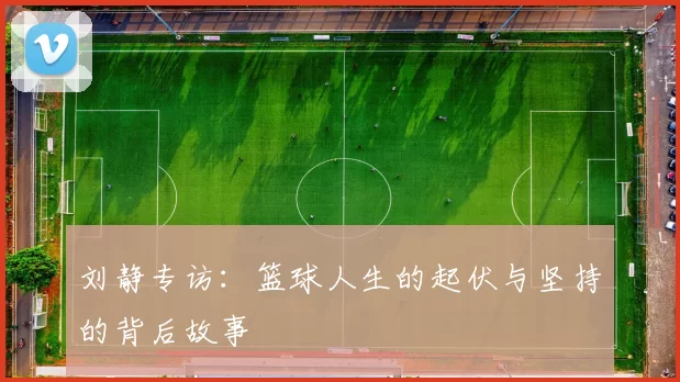 刘静专访：篮球人生的起伏与坚持的背后故事
