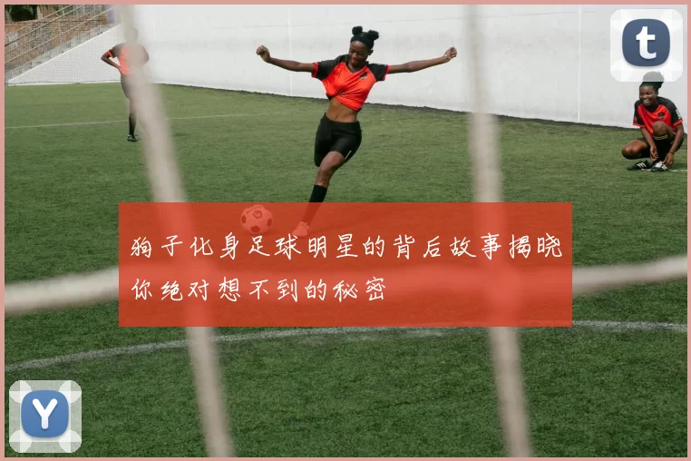 狗子化身足球明星的背后故事揭晓你绝对想不到的秘密