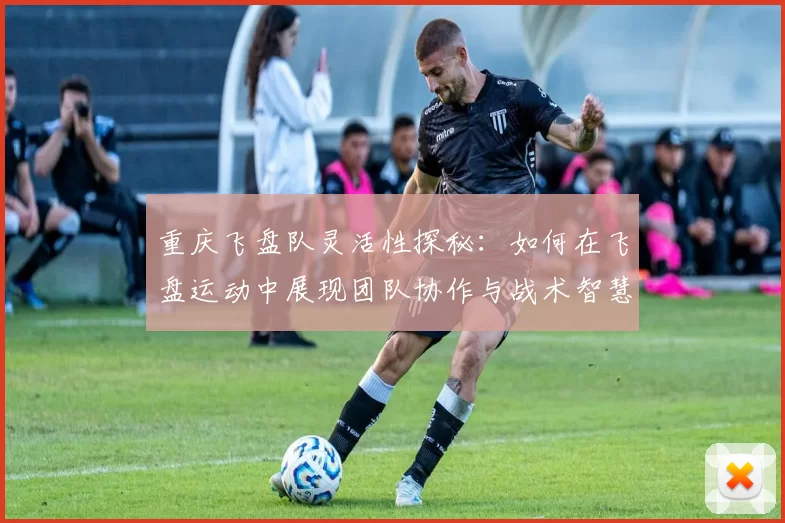 重庆飞盘队灵活性探秘：如何在飞盘运动中展现团队协作与战术智慧